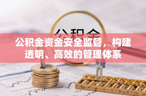 保险公积金资金安全监管，构建透明、高效的管理体系