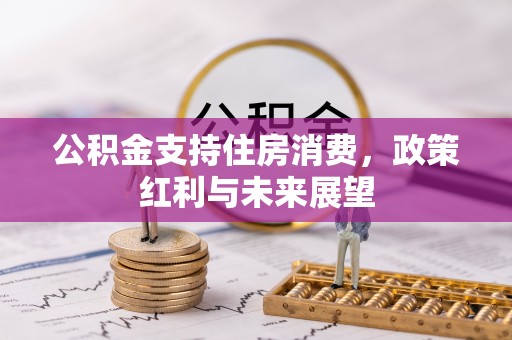 保险公积金支持住房消费，政策红利与未来展望